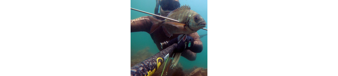 Pesca submarina | Neoprenos, fusiles, varillas y accesorios Marlin, PS-Dive, Sigalsub | Marlinsubnorte