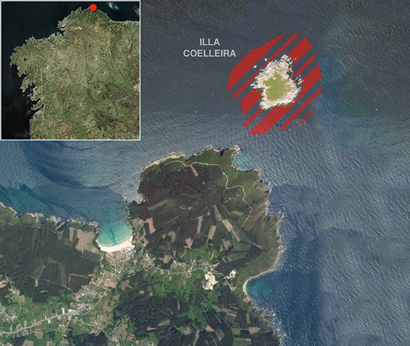 Mapa oficial zona prohibida de pesca submarina: Illa Coelleira (O Vicedo)