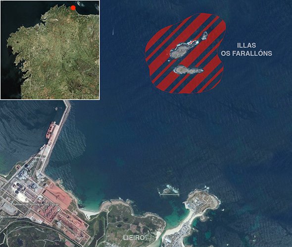 Mapa oficial zona prohibida de pesca submarina: Illa Os Farallóns (San Cibrao)