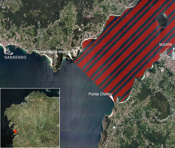 Mapa oficial zona prohibida de pesca submarina: Ría de Pontevedra