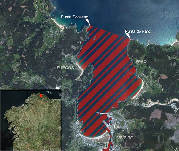 Mapa oficial zona prohibida de pesca submarina: Ría de Viveiro