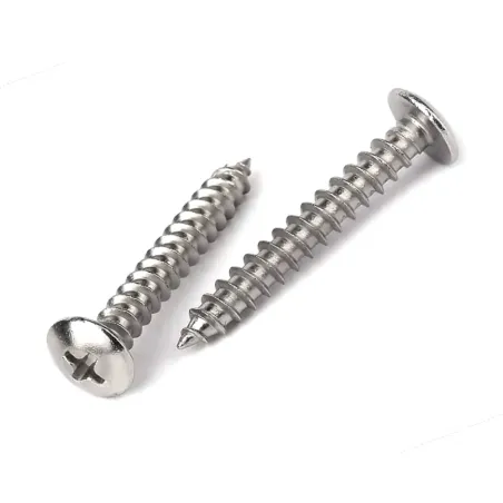 Tornillo ROSCACHAPA cabeza ALOMADA inox PS-Dive | Marlinsubnorte