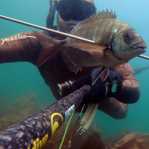 Pesca submarina